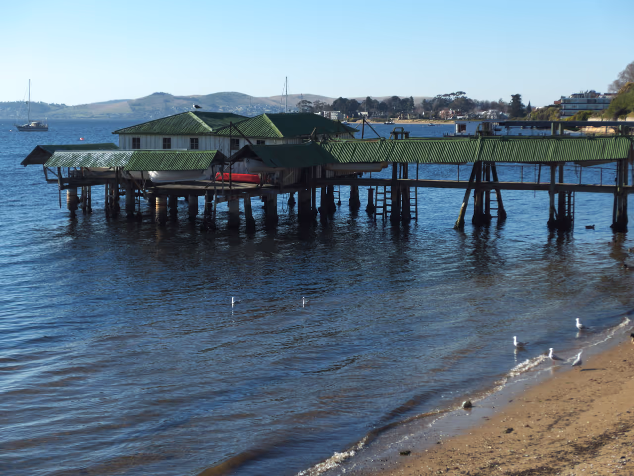 Autumn highlight in Hobart