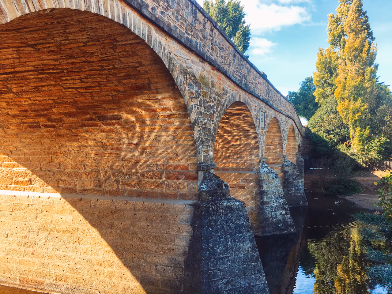 Spring highlight in Hobart