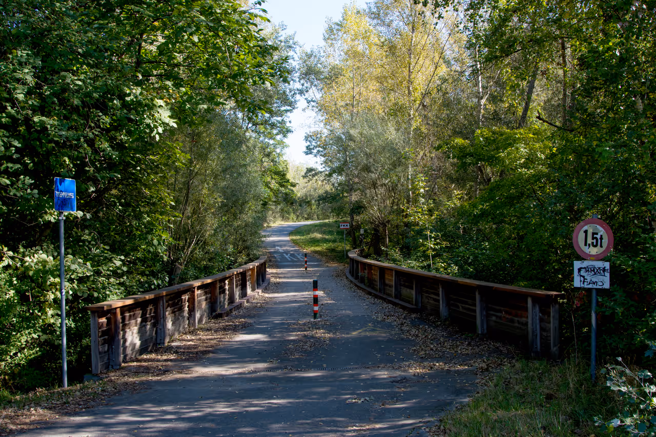 Cycling the danube island in Vienna