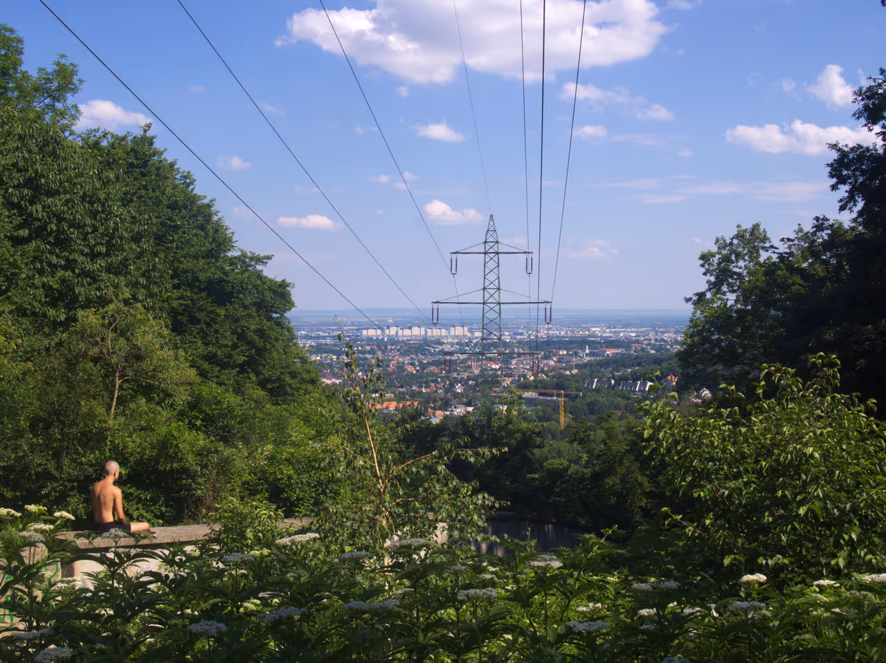 Hiking the lainzer tiergarten in Vienna
