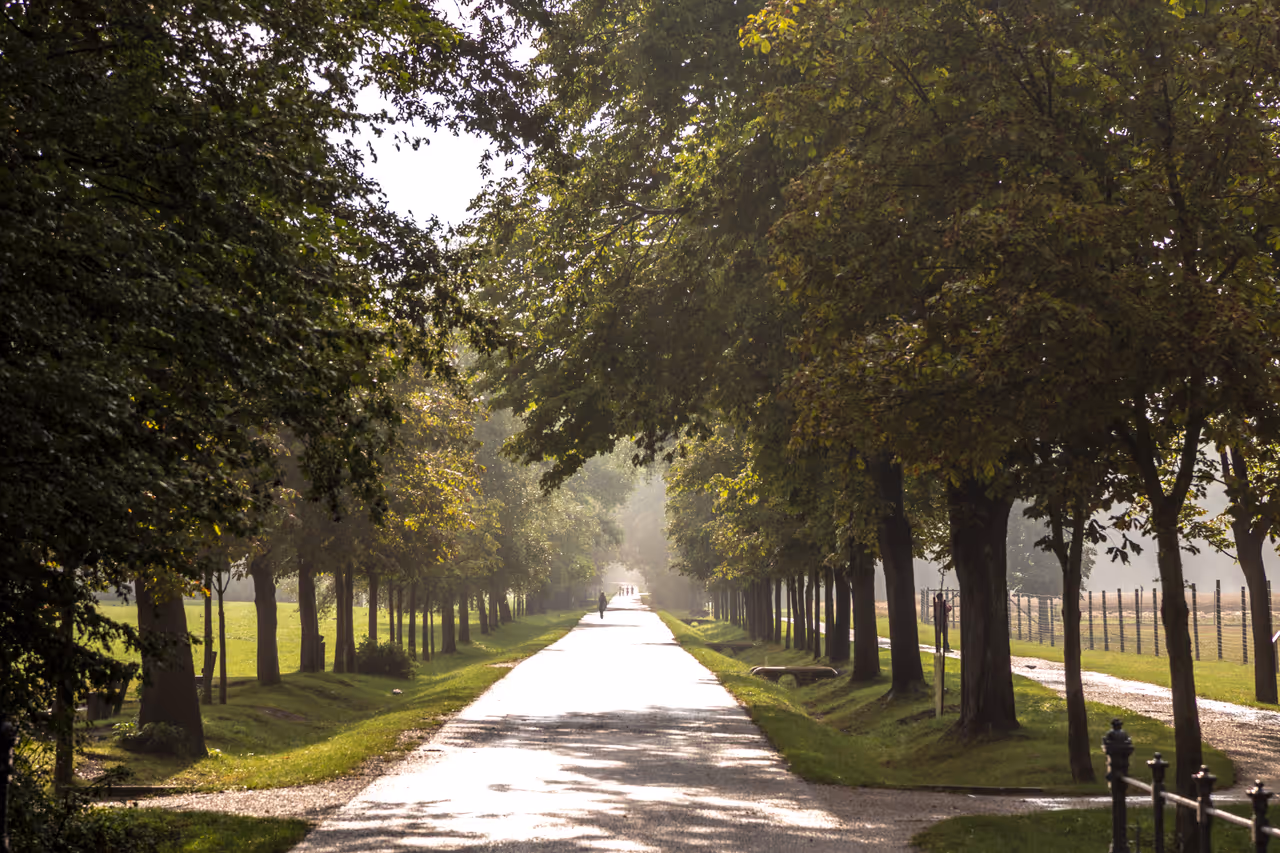 Hiking the lainzer tiergarten in Vienna
