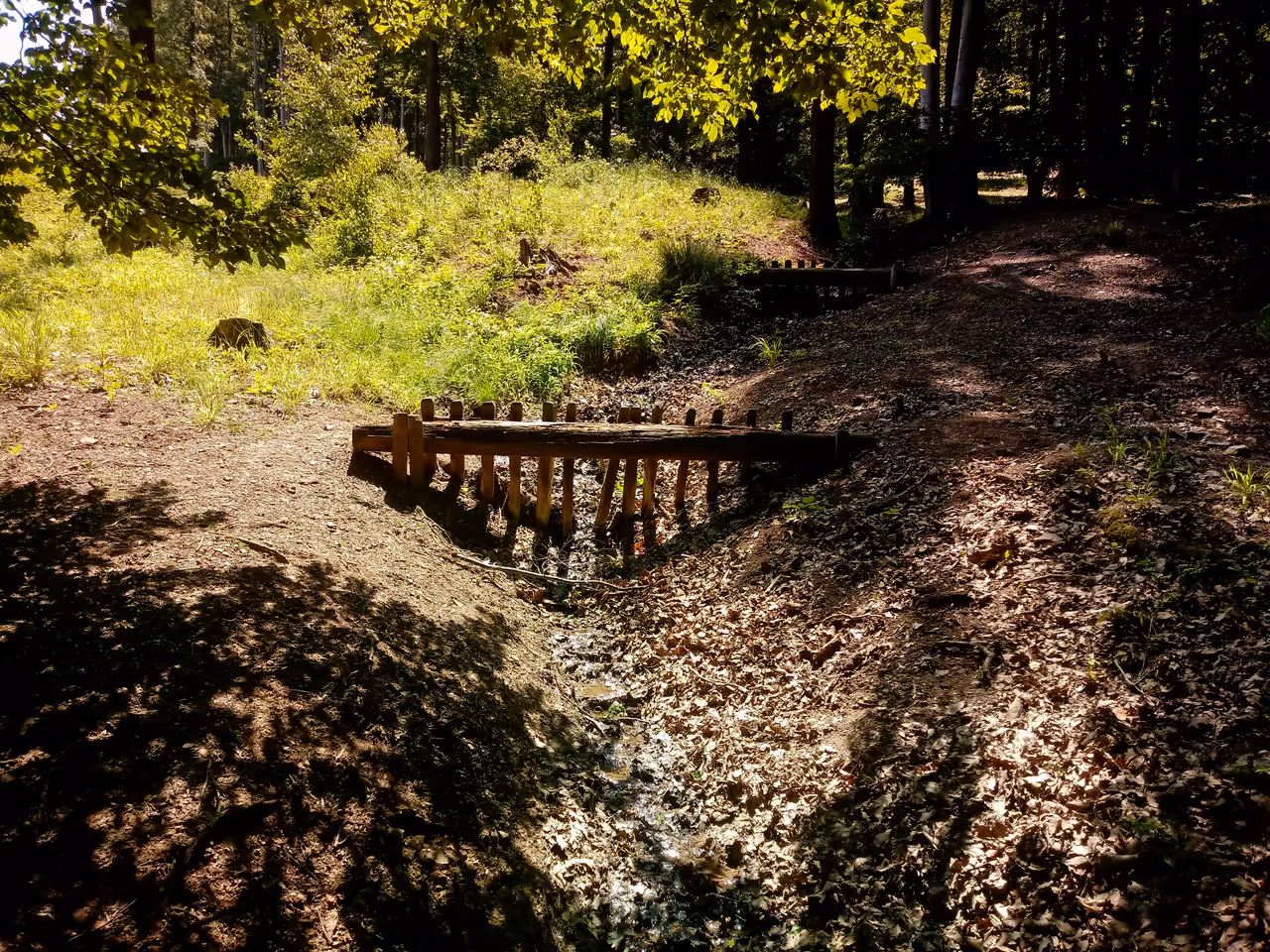 Hiking the lainzer tiergarten in Vienna
