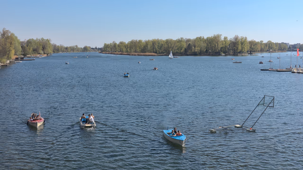 Swimming in the old danube in Vienna