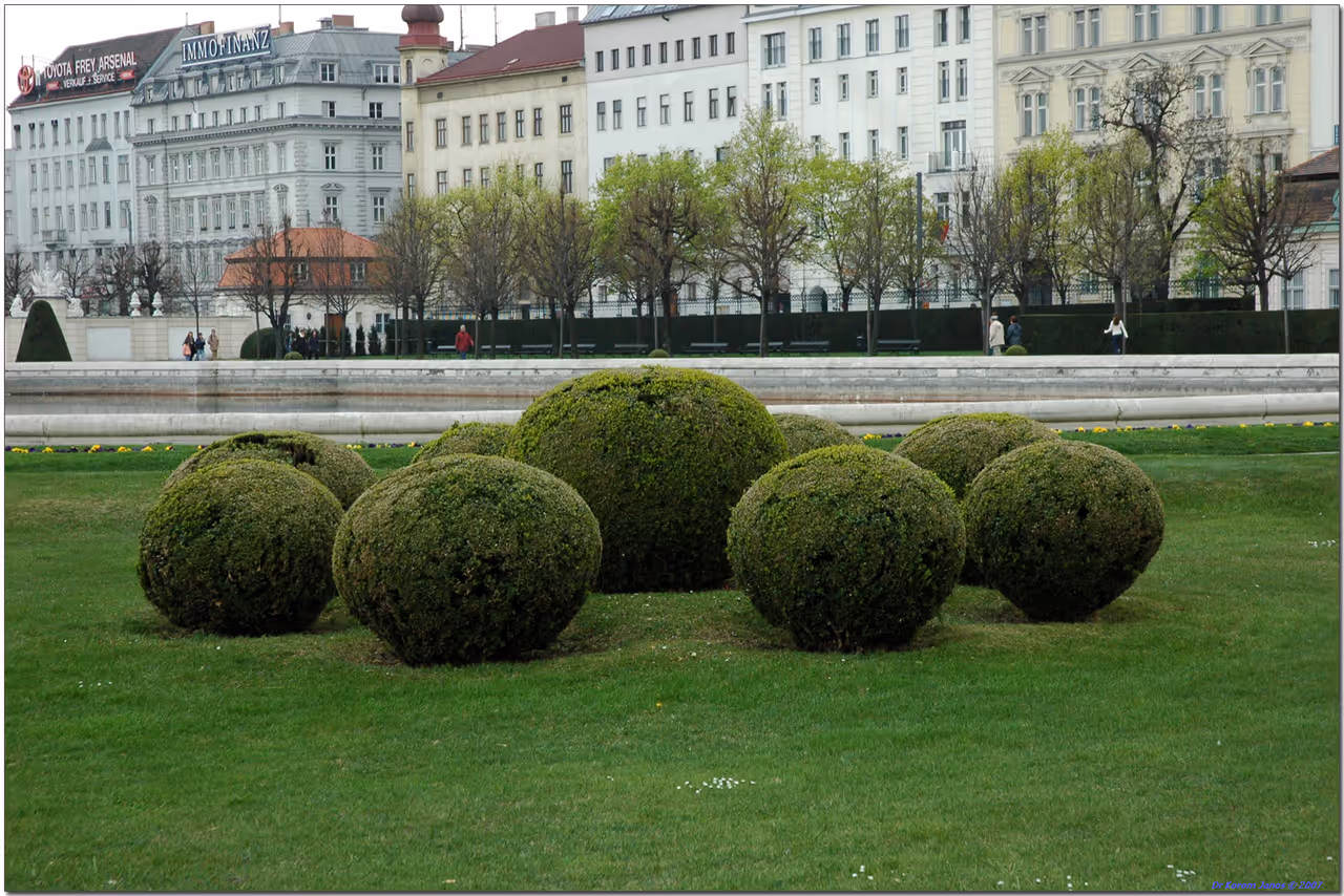 Discover the belvedere in Vienna