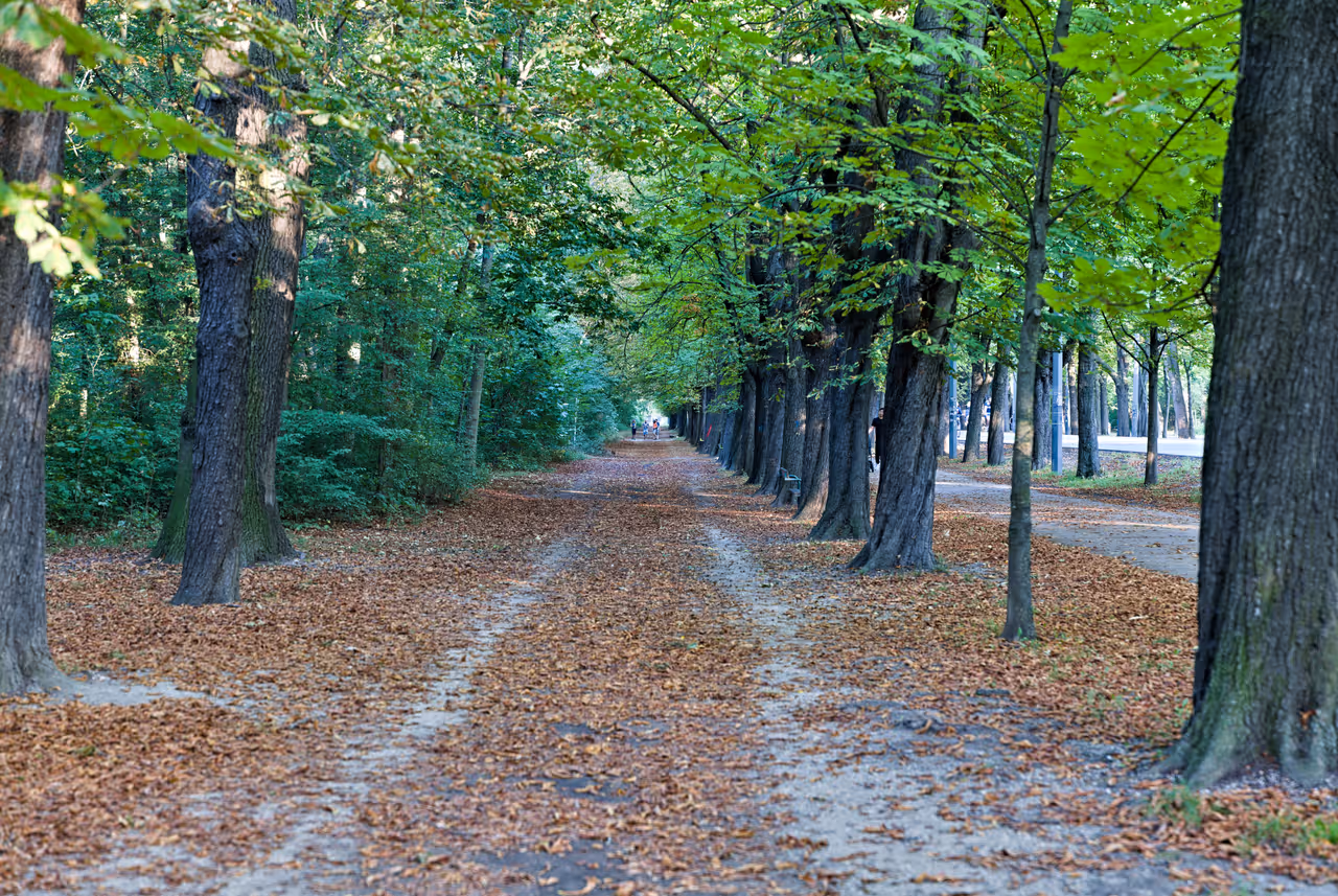 Prater park greenway cycling in Vienna