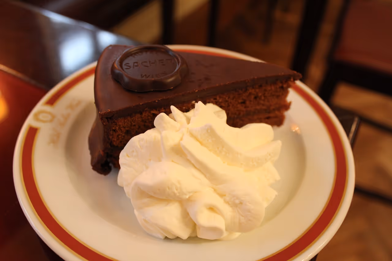 Sacher cake food in Vienna