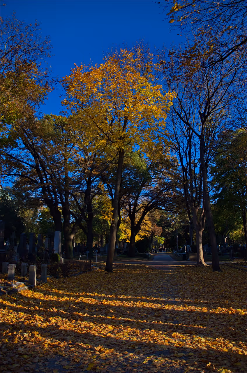 Central cemetery in Vienna