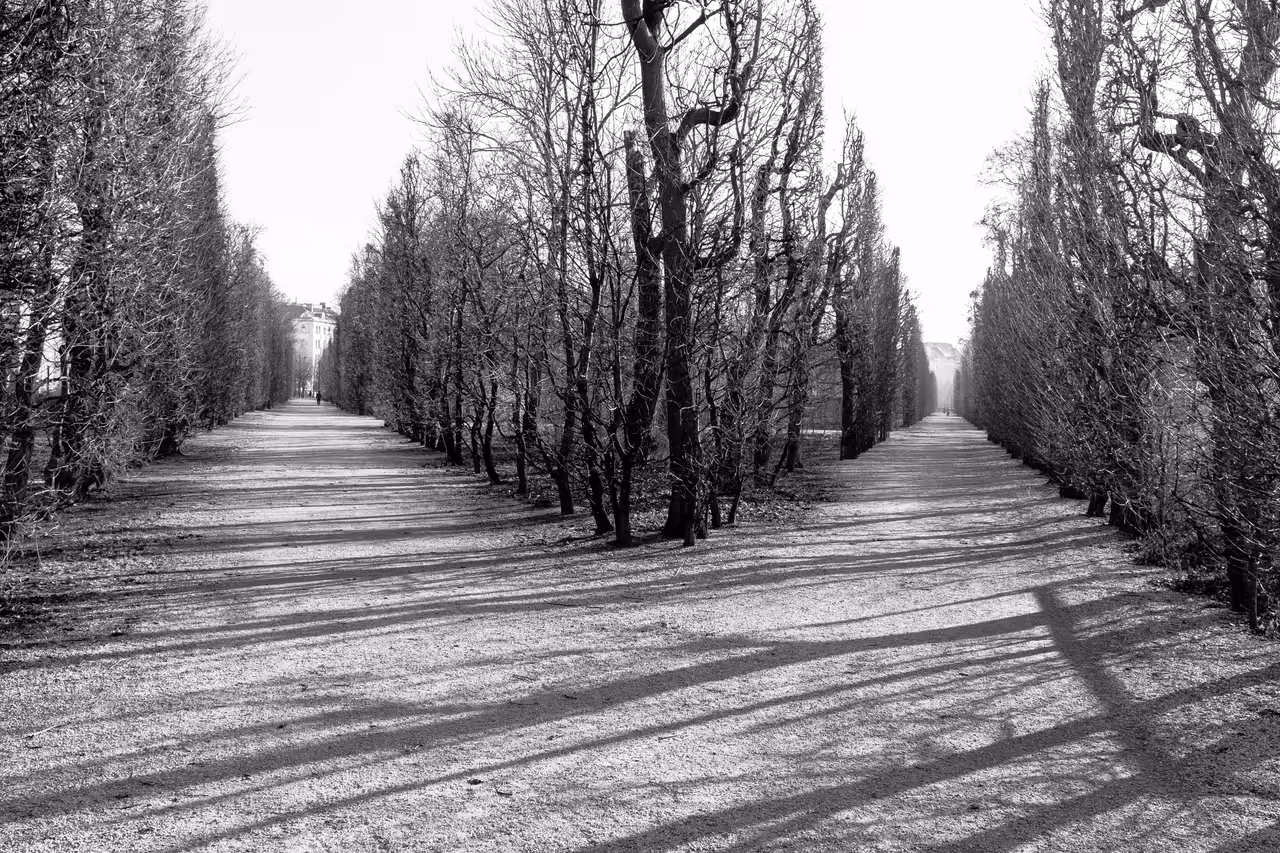 Augarten in Vienna