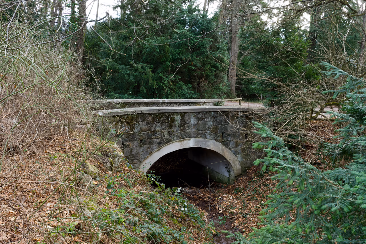 Lainzer tiergarten in Vienna