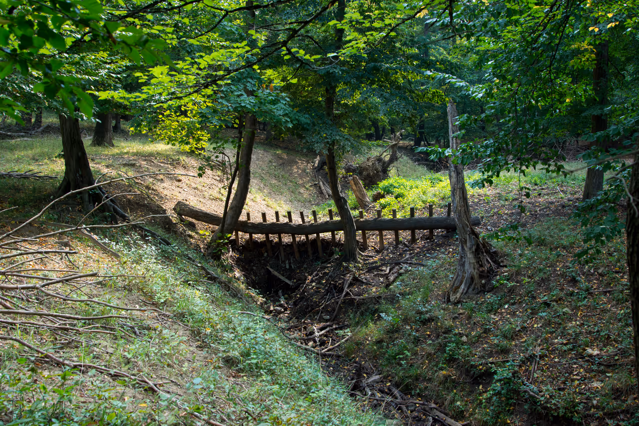 Lainzer tiergarten in Vienna
