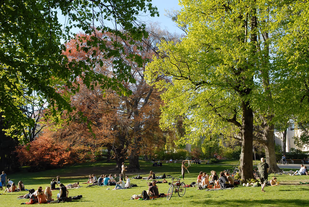 Türkenschanz park in Vienna