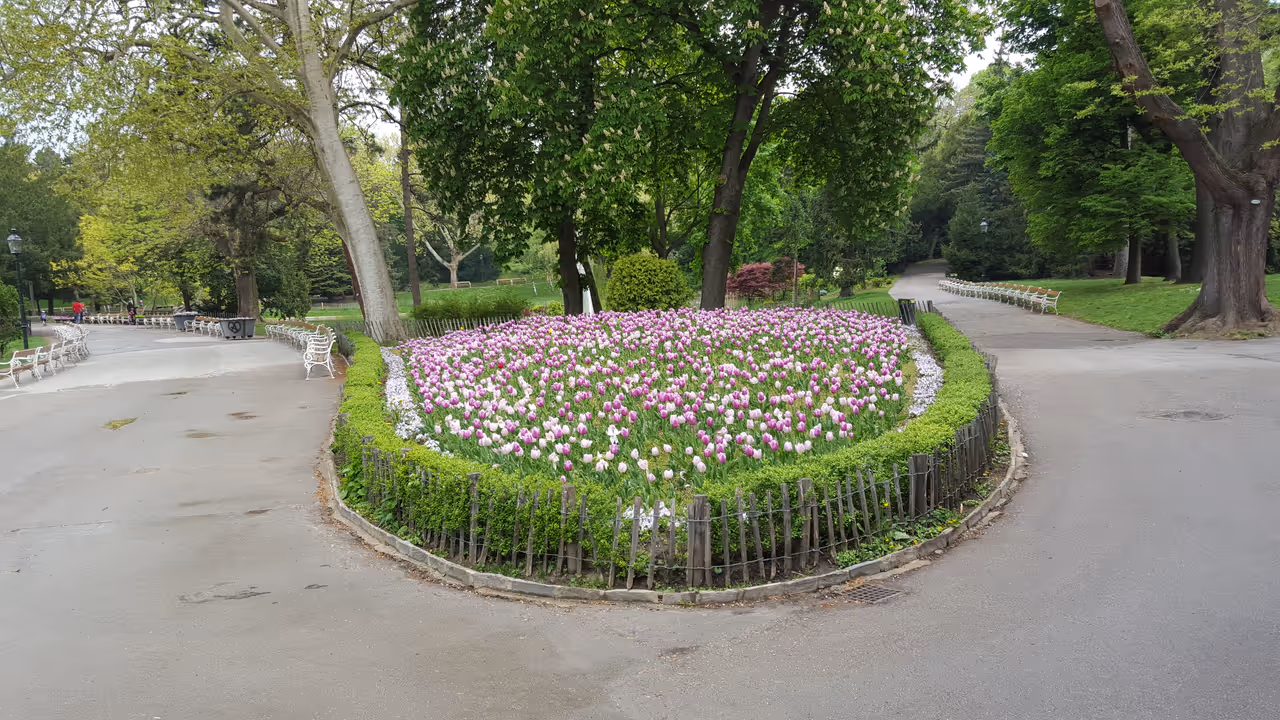 Türkenschanz park in Vienna