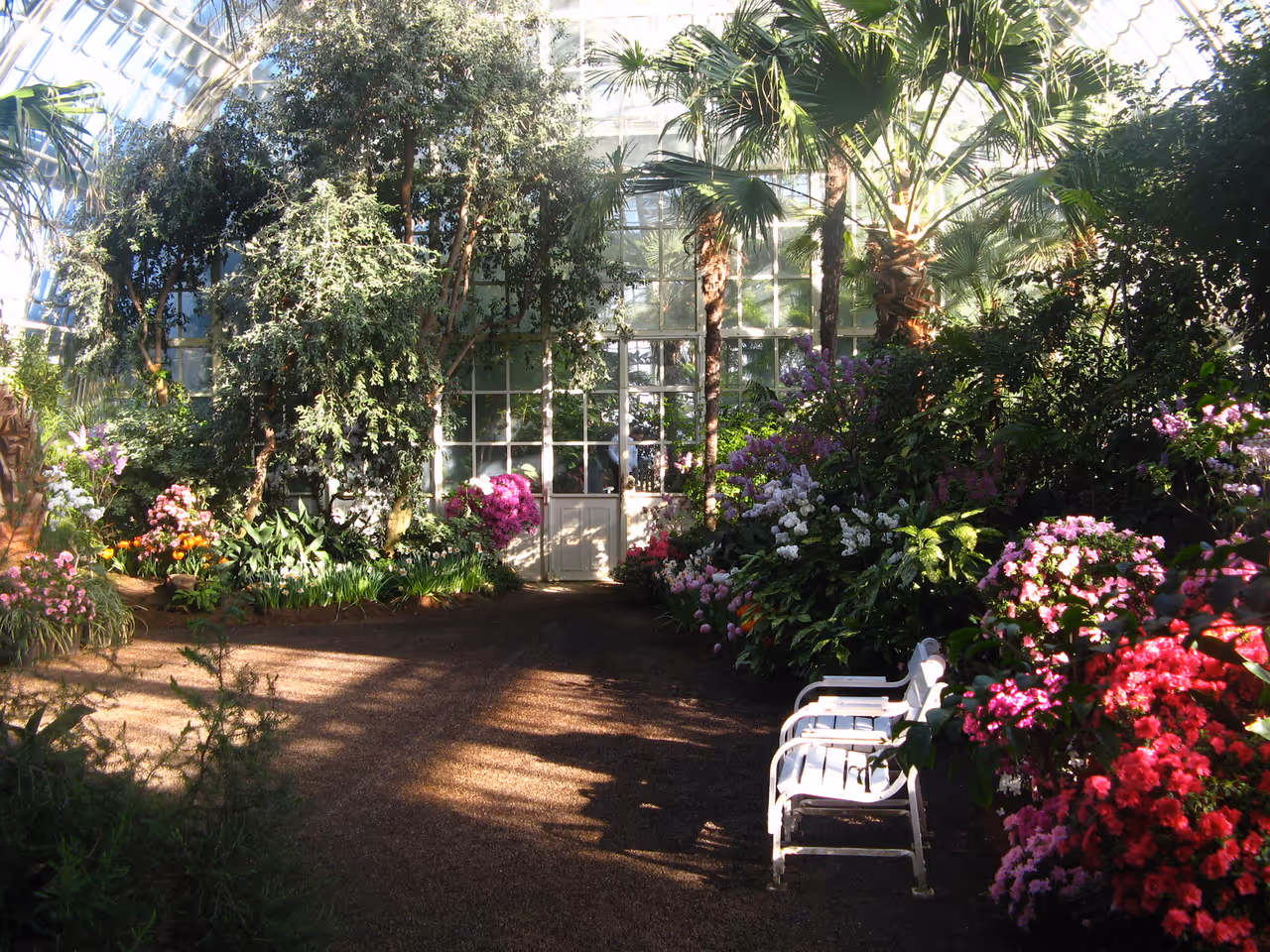Palm house at schönbrunn in Vienna