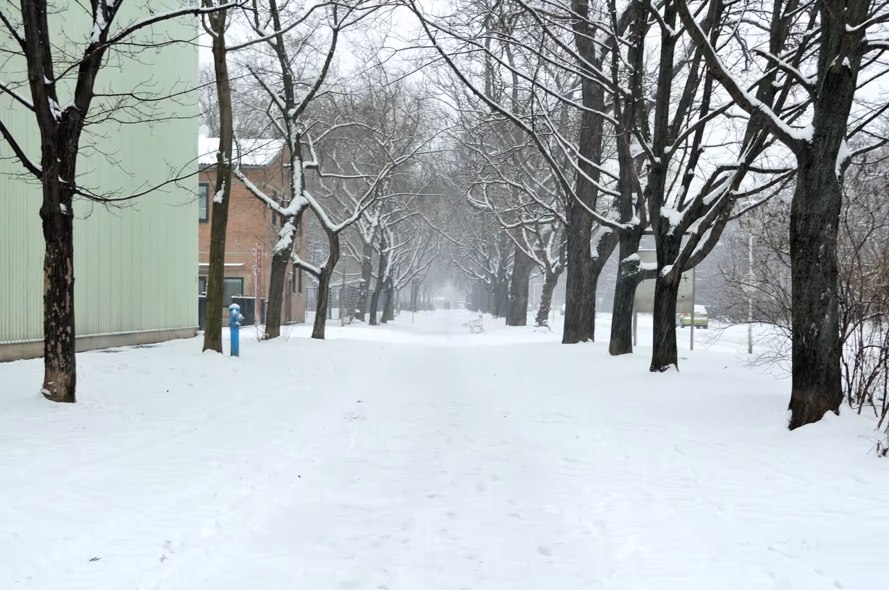 Winter highlight in Vienna