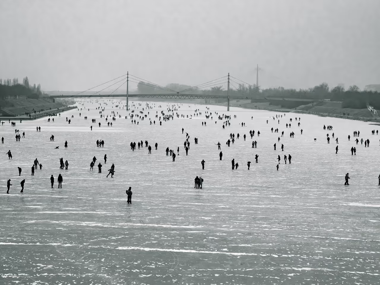Winter highlight in Vienna