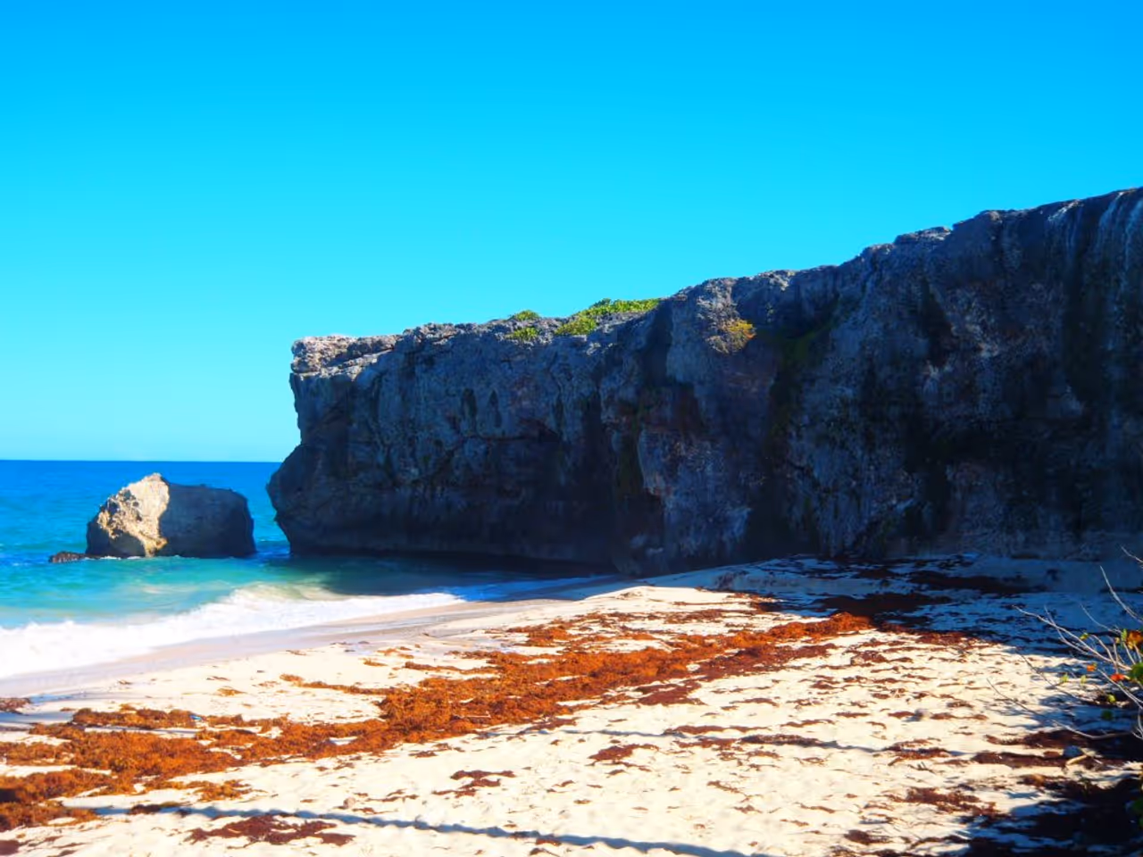 Scuba diving in carlisle bay in Bridgetown