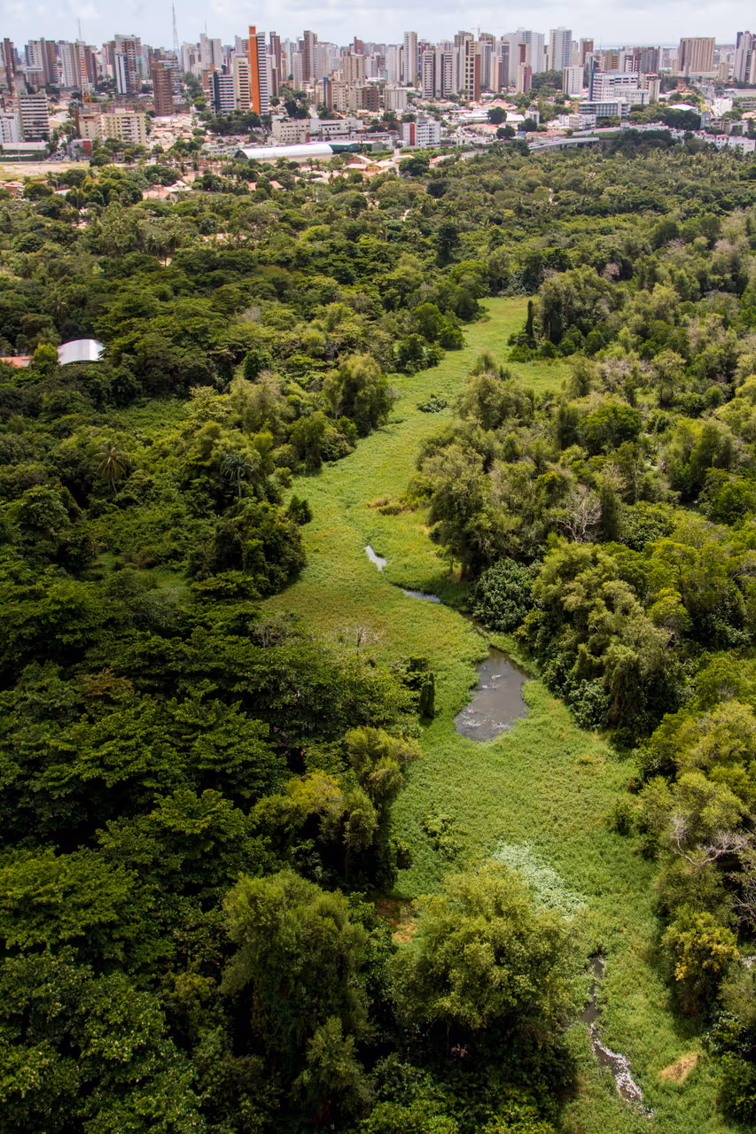 Aerial photographs of fortaleza, showing cocó Ecological Park