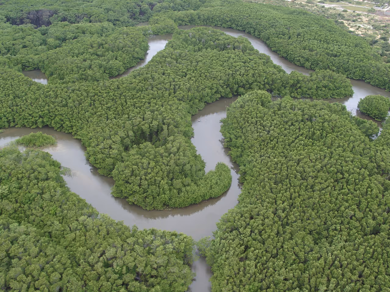Aerial photographs of fortaleza, showing Sapiranga Ecological Reserve