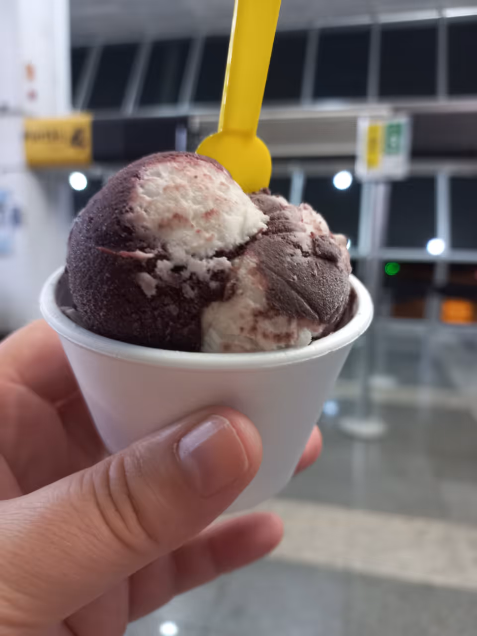Tapioca ice cream food in Fortaleza