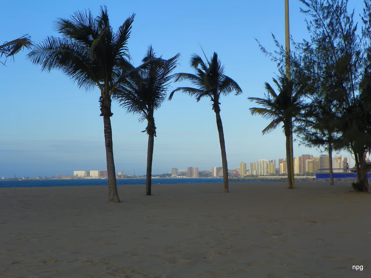Iracema beachfront nightlife spot in Fortaleza
