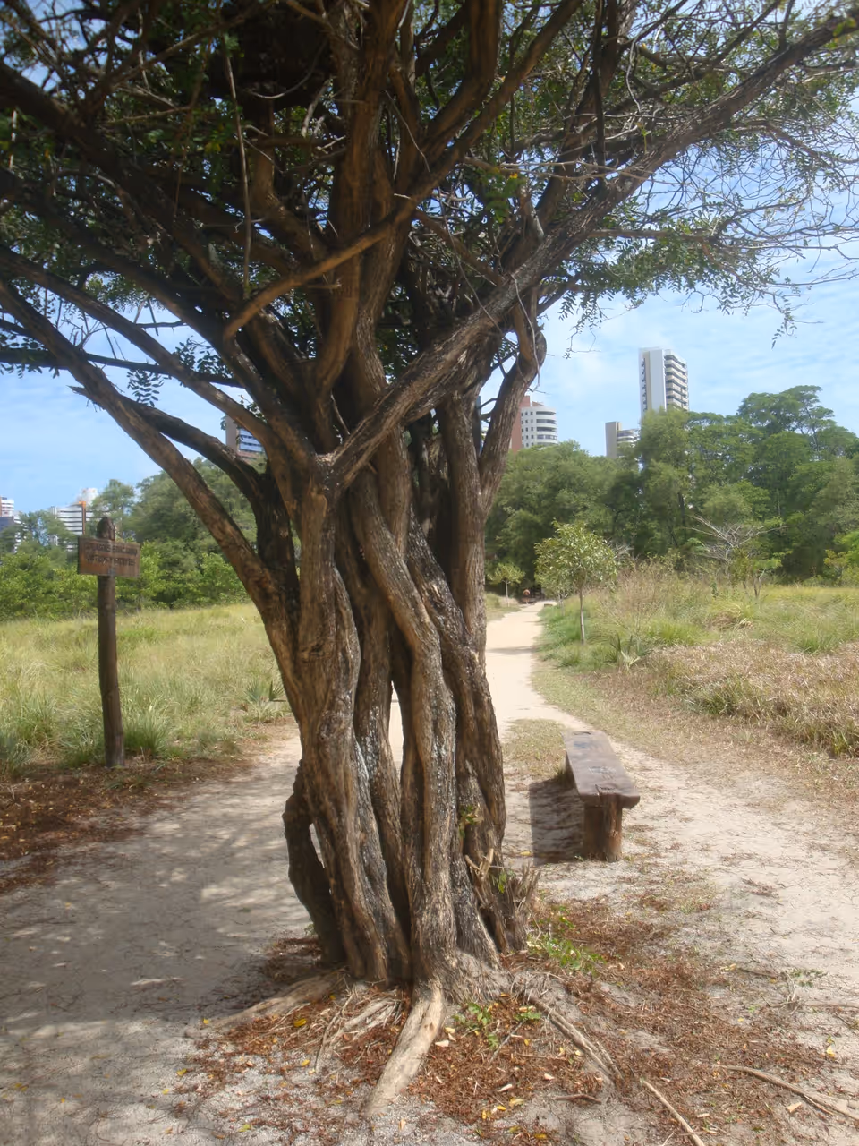 Cocó state park in Fortaleza
