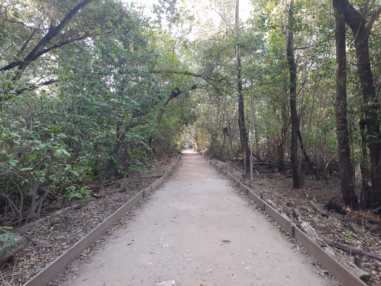 Cocó state park in Fortaleza