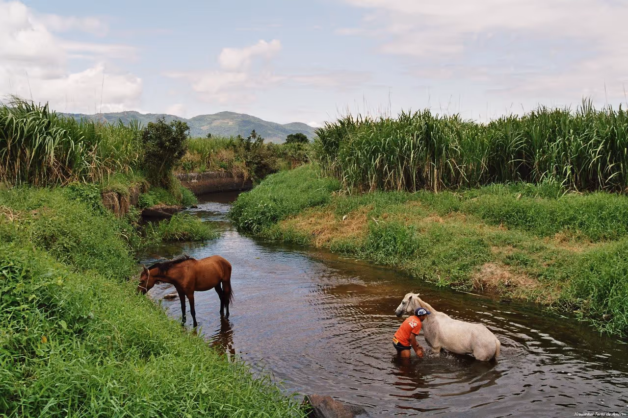 Pacoti river in Fortaleza