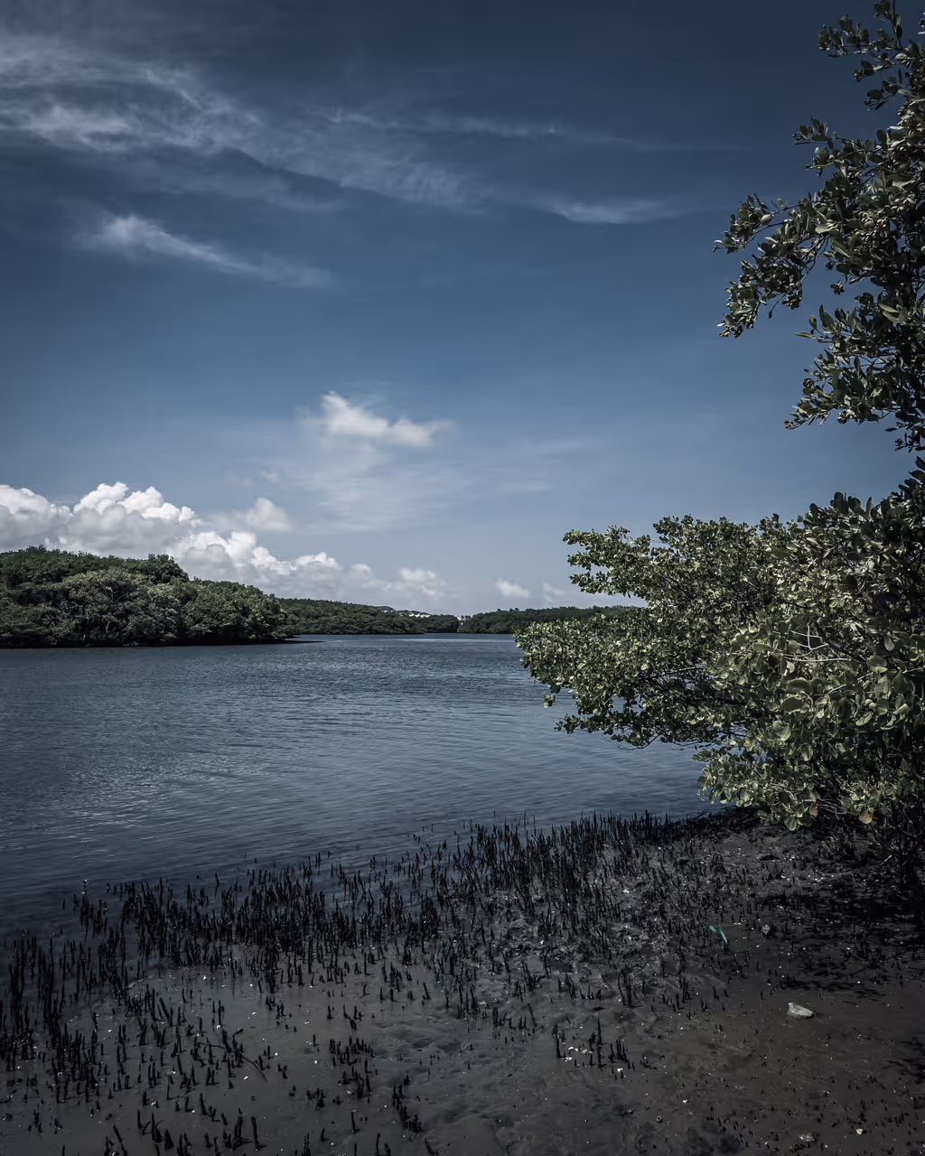 Pacoti river in Fortaleza
