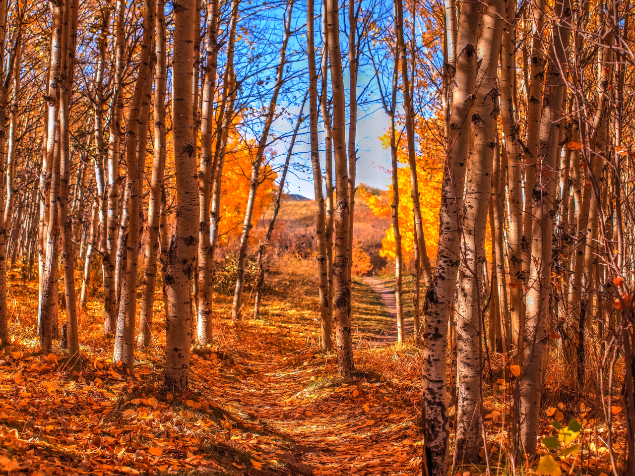 Hiking / walking in Calgary