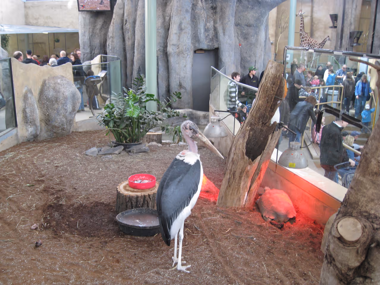 Zoo in Calgary