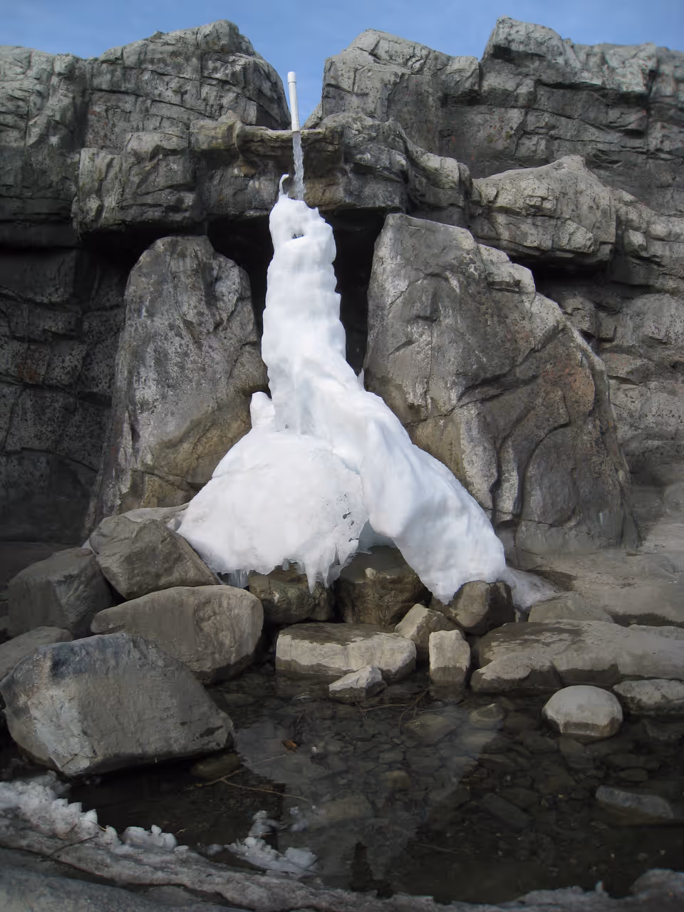 Zoo in Calgary