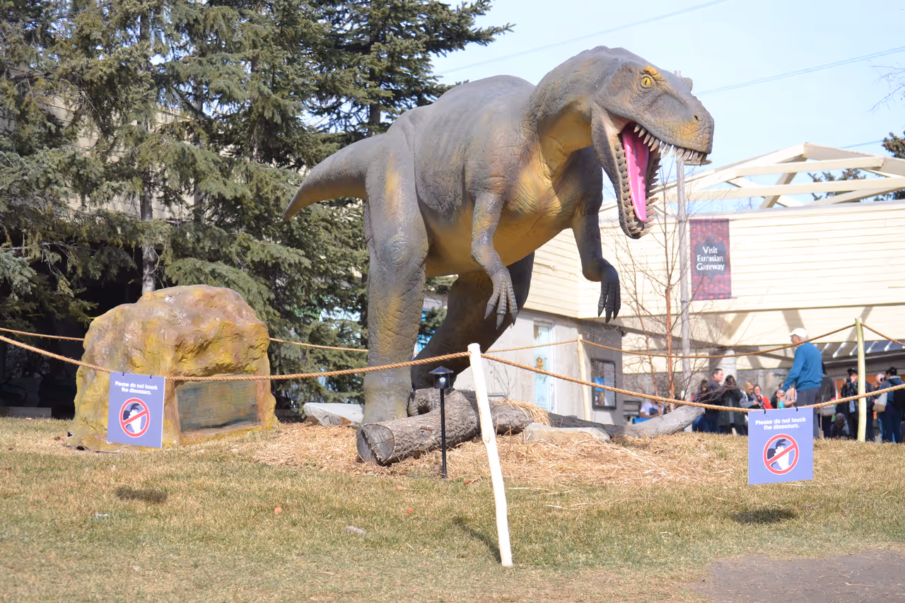 Zoo in Calgary