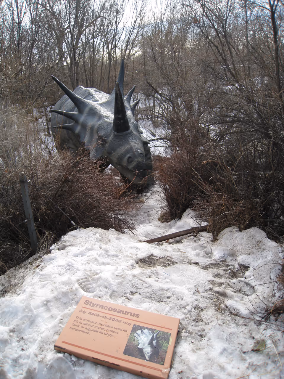 Zoo in Calgary