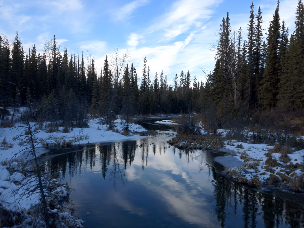 Discovery Ridge in Calgary