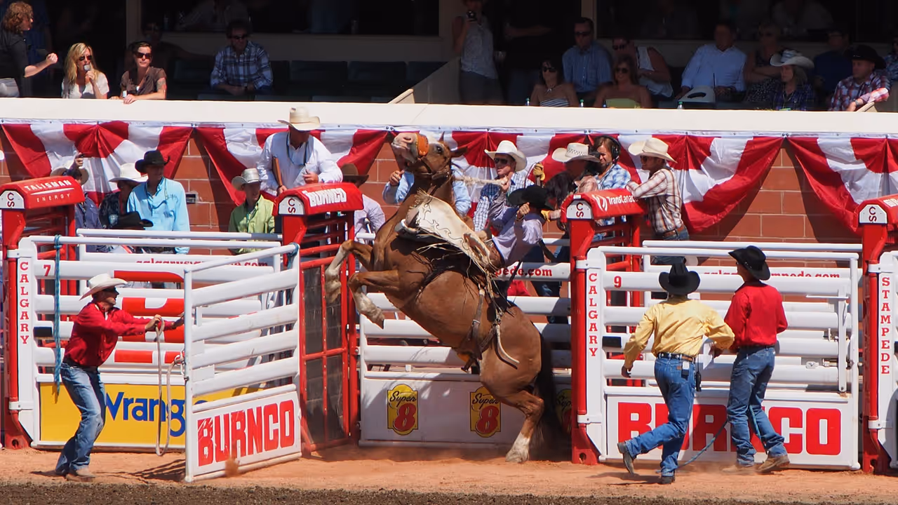 Stampede festival in Calgary