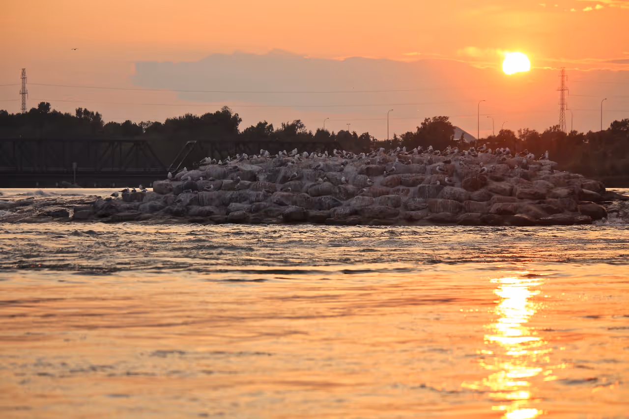 Harvie passage in Calgary