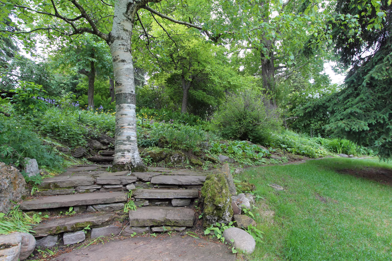 Reader rock garden in Calgary