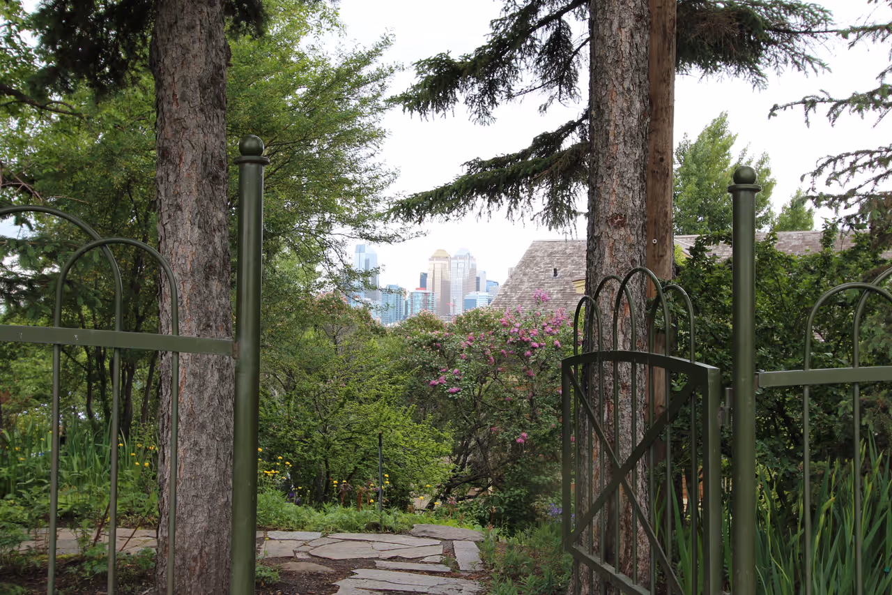 Reader rock garden in Calgary