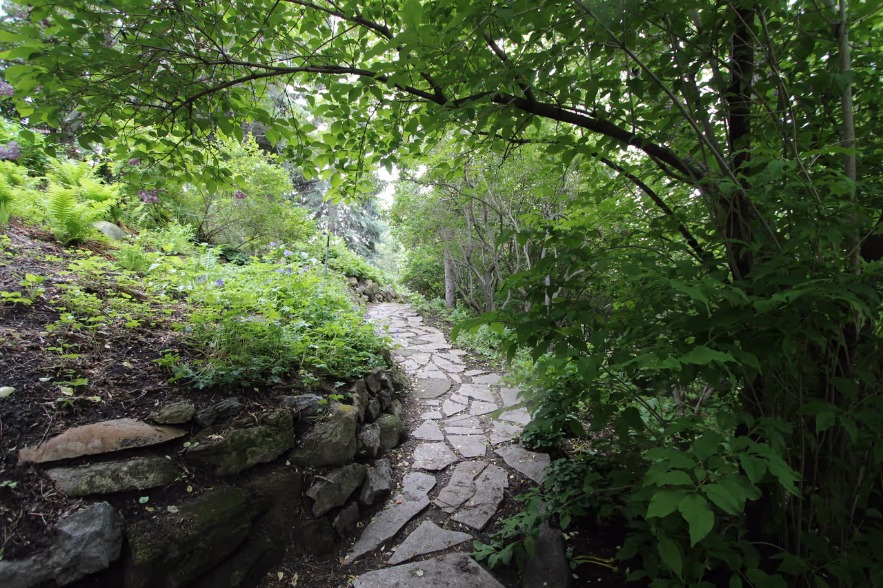 Reader rock garden in Calgary