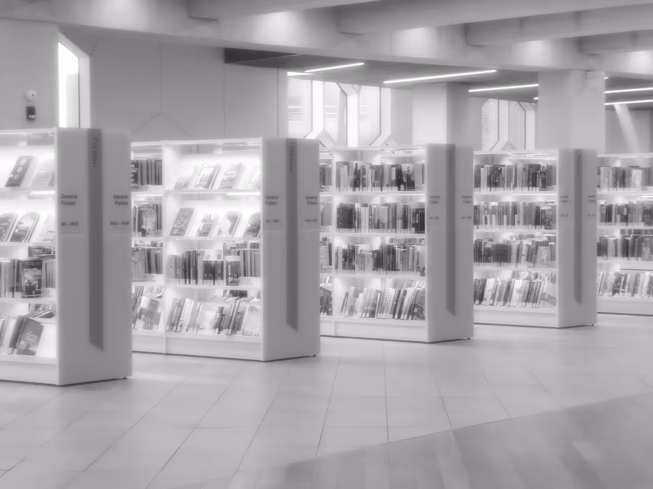 Silky Monochrome-Library Stacks, central library in Calgary