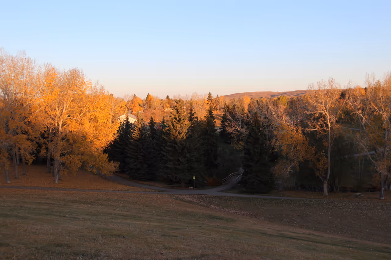 Confederation park in Calgary