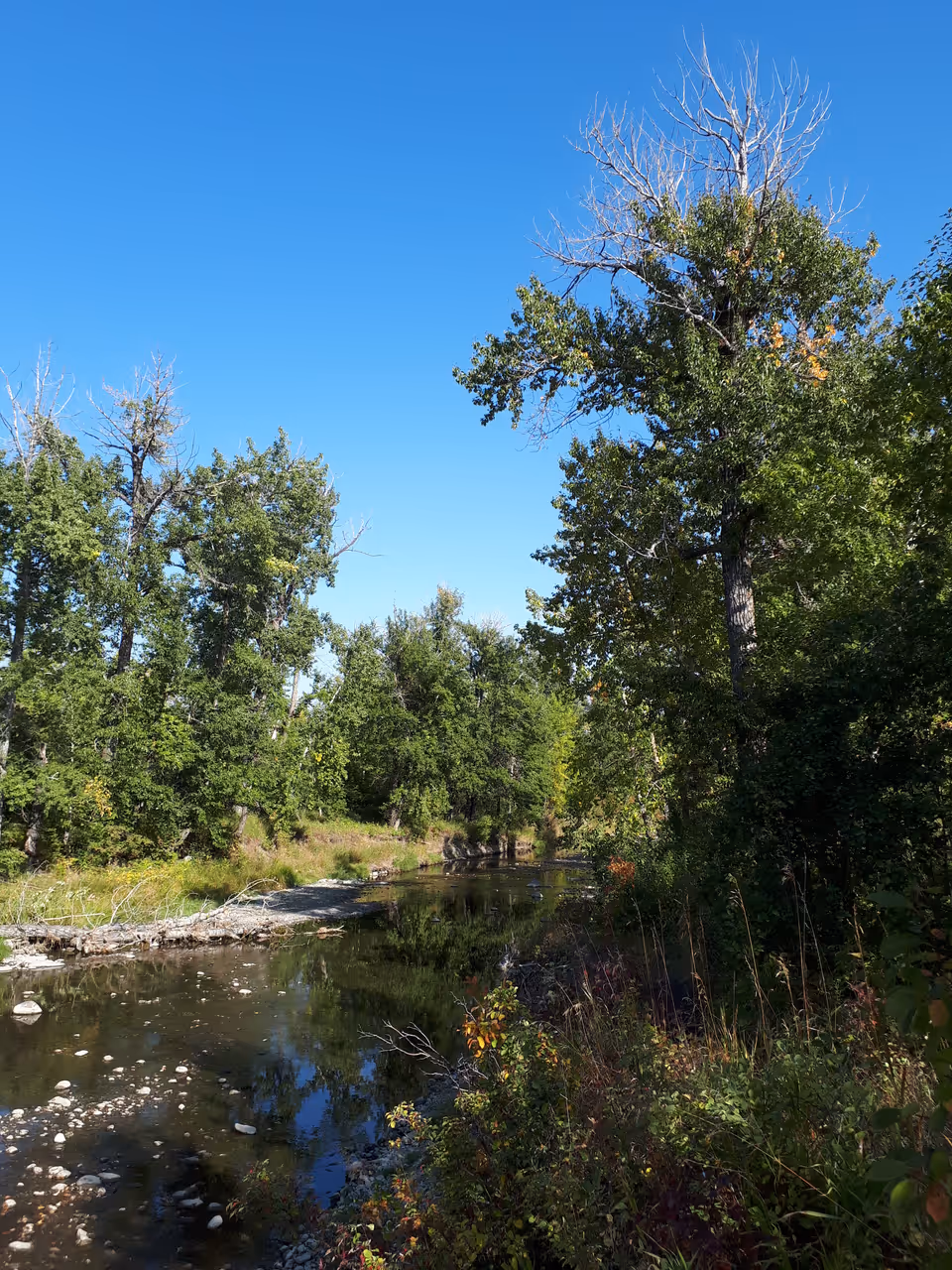 Fish creek provincial park in Calgary