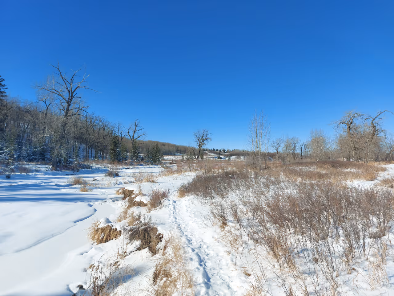 Fish creek provincial park in Calgary