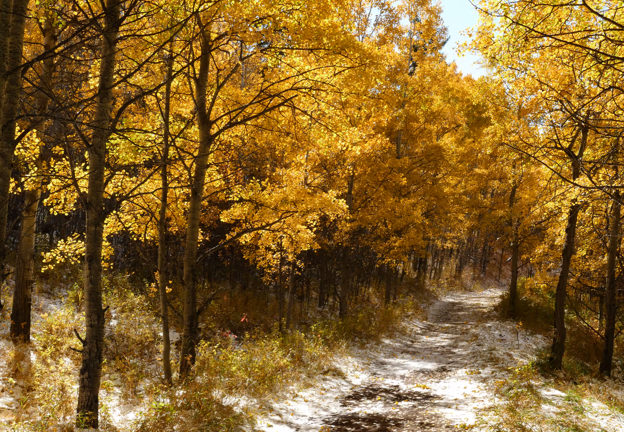 Fish creek provincial park in Calgary