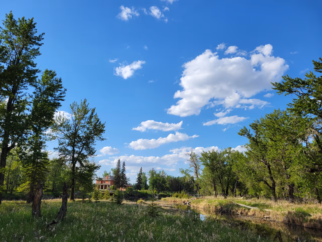 Inglewood bird sanctuary in Calgary