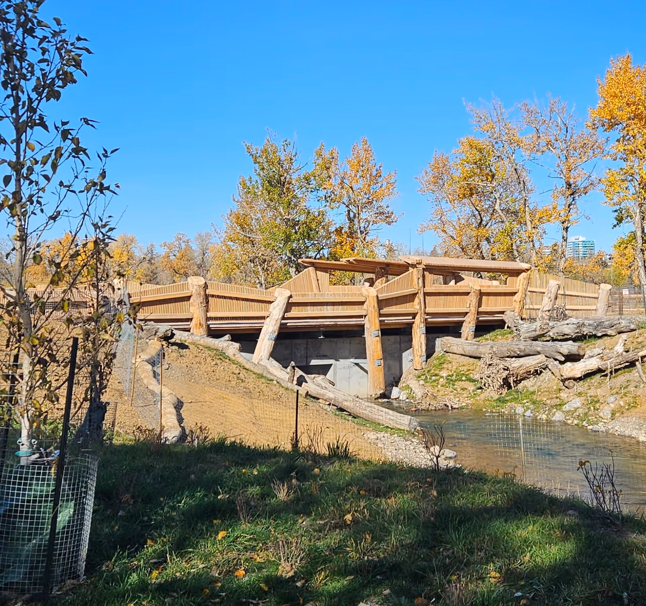 Inglewood bird sanctuary in Calgary