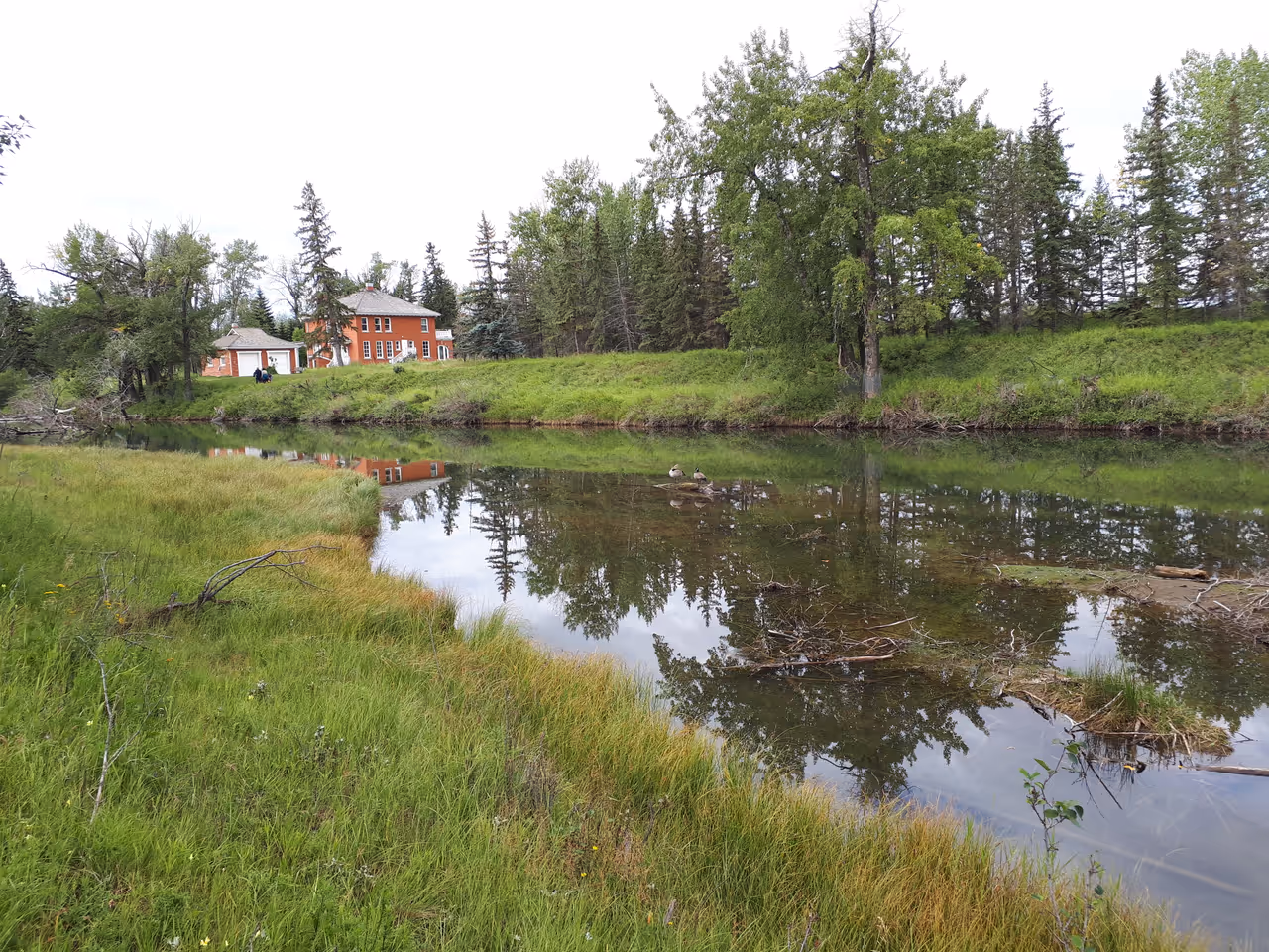 Inglewood bird sanctuary in Calgary