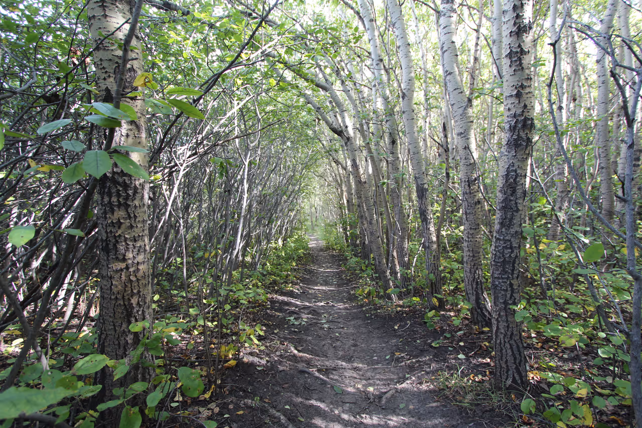 Nose hill park in Calgary