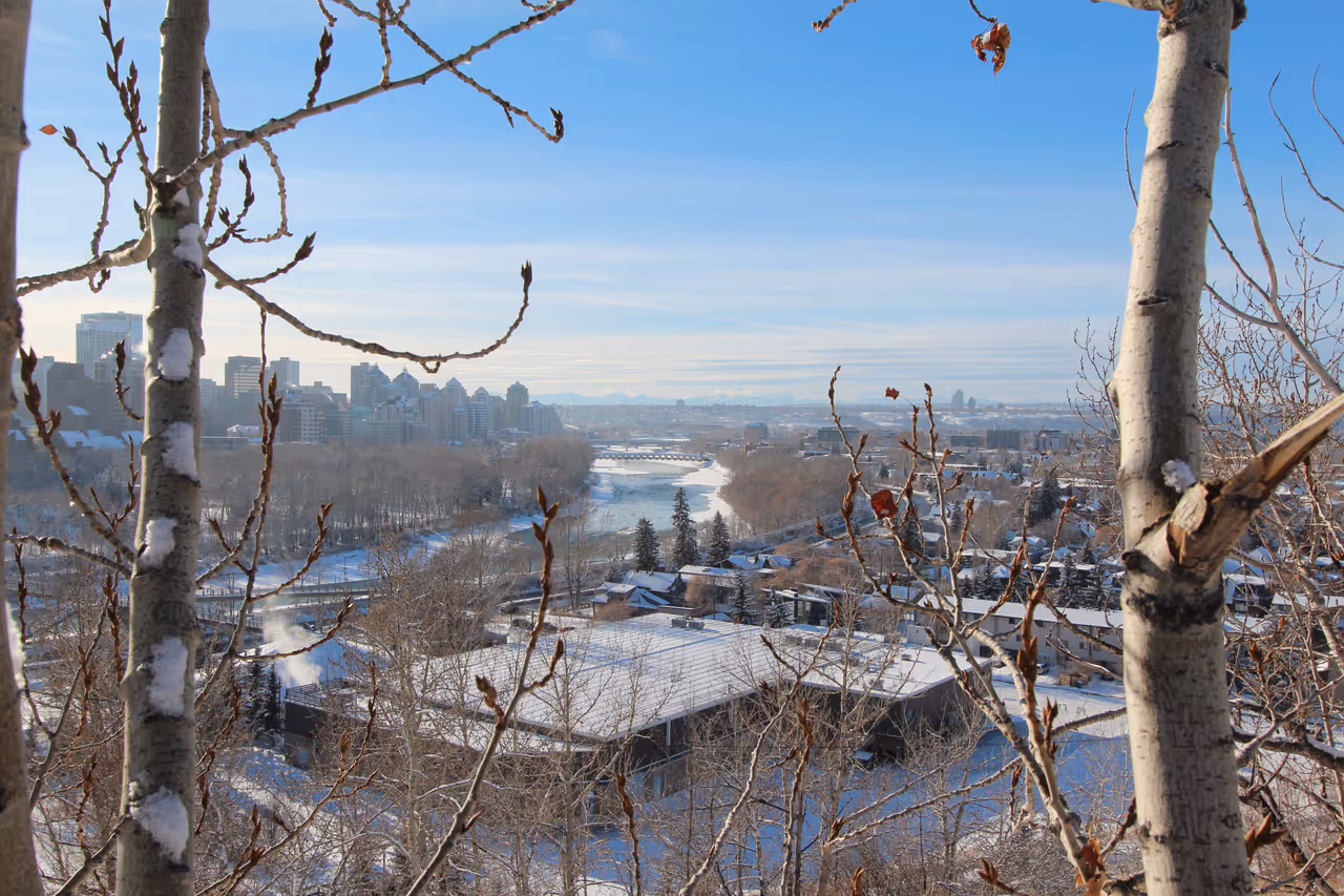 Winter highlight in Calgary