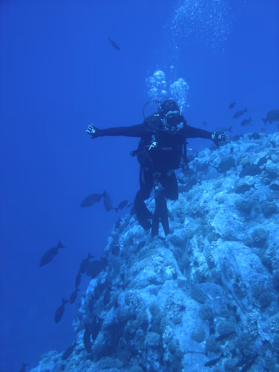 Scuba diving shipwrecks in Valparaíso